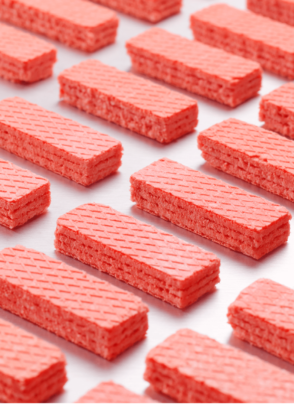 identical wafer biscuits being manufactured